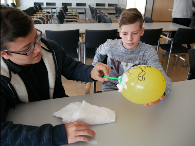 Bild